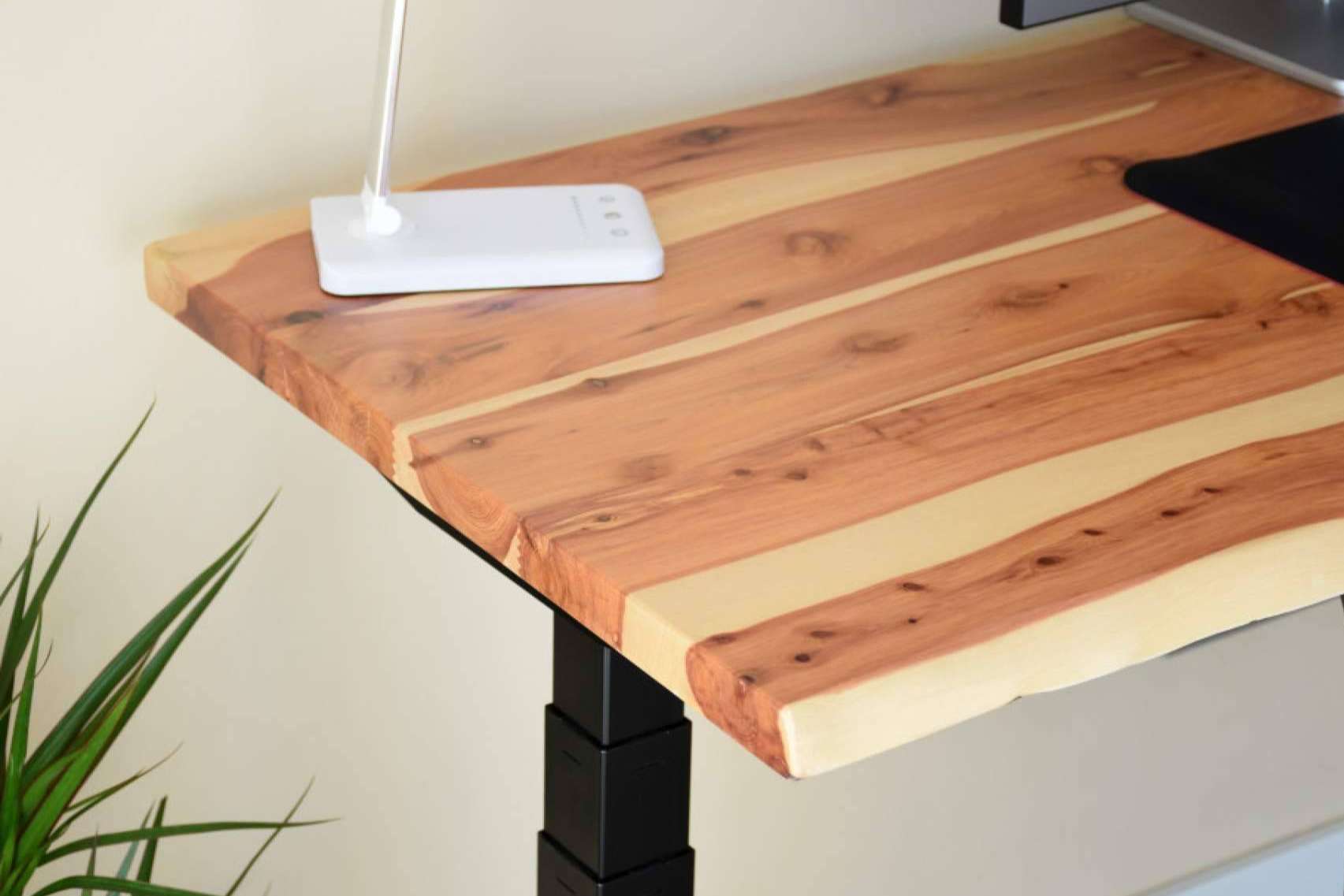 Mesas y escritorios de madera natural maciza disponibles en ErgoNatureWood