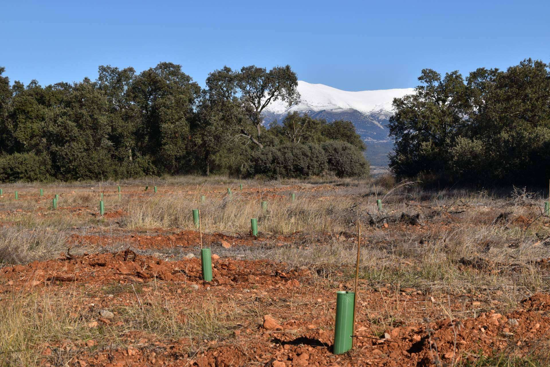 ¿Por qué es importante compensar la huella de carbono en España?