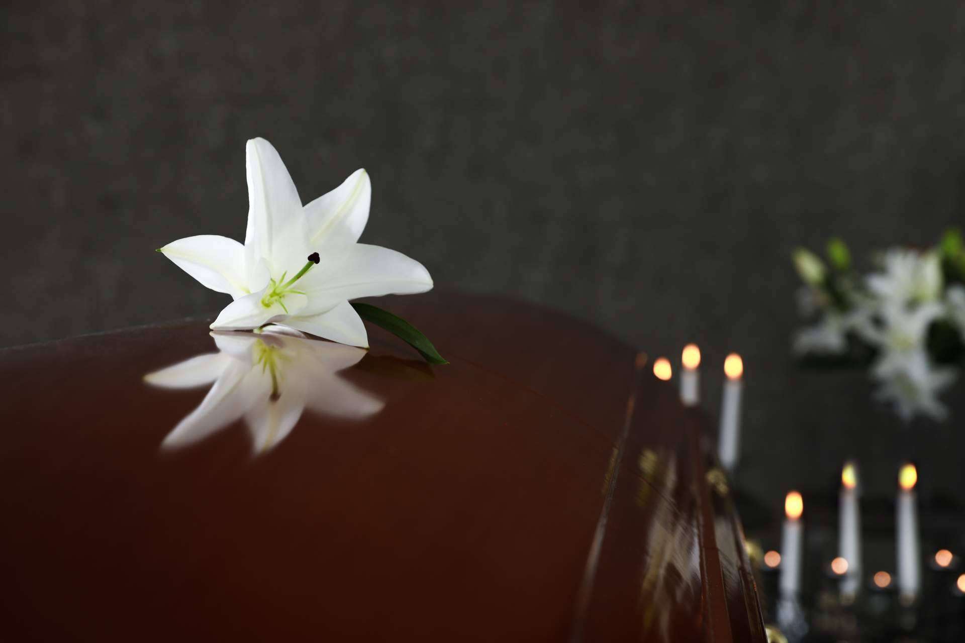 ¿Cuál es el buscador de tanatorios y funerarias?, por el portal web Tanatorio en Pamplona