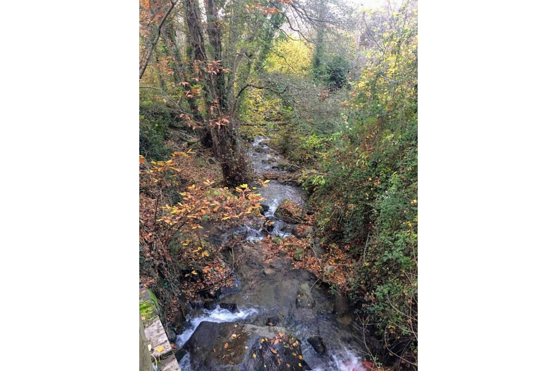 Celebrar el Otoño Mágico en Vive Baños de Montemayor