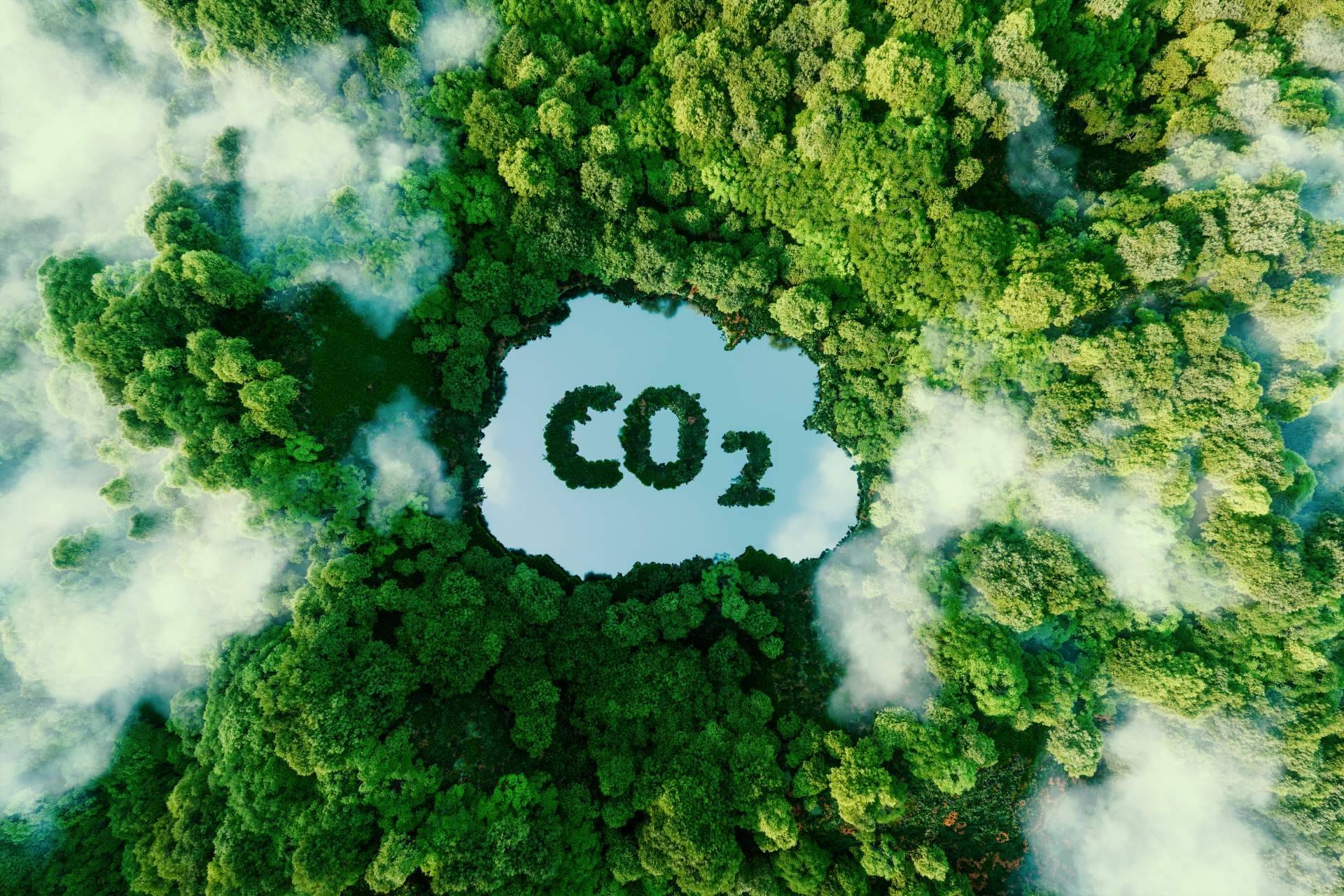ClimateTrade participará en la COP27, uno de los eventos climáticos más grandes del año