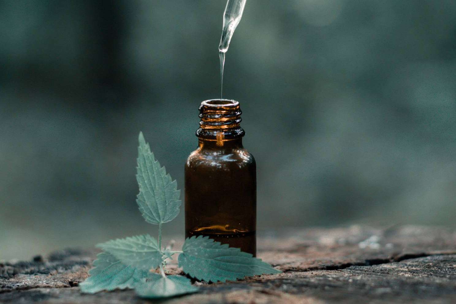 Naturamol, una línea de aceites esenciales totalmente naturales