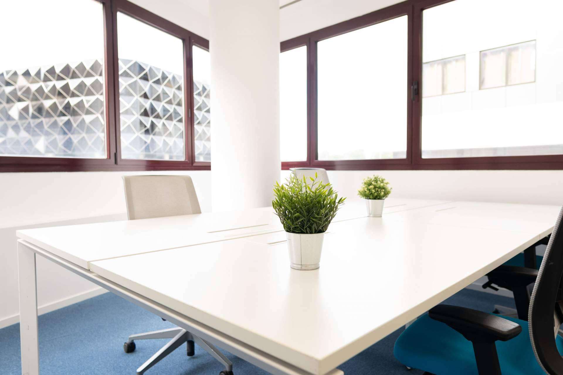 MyCoworking Las Tablas, un servicio de coworking con un concepto actualizado