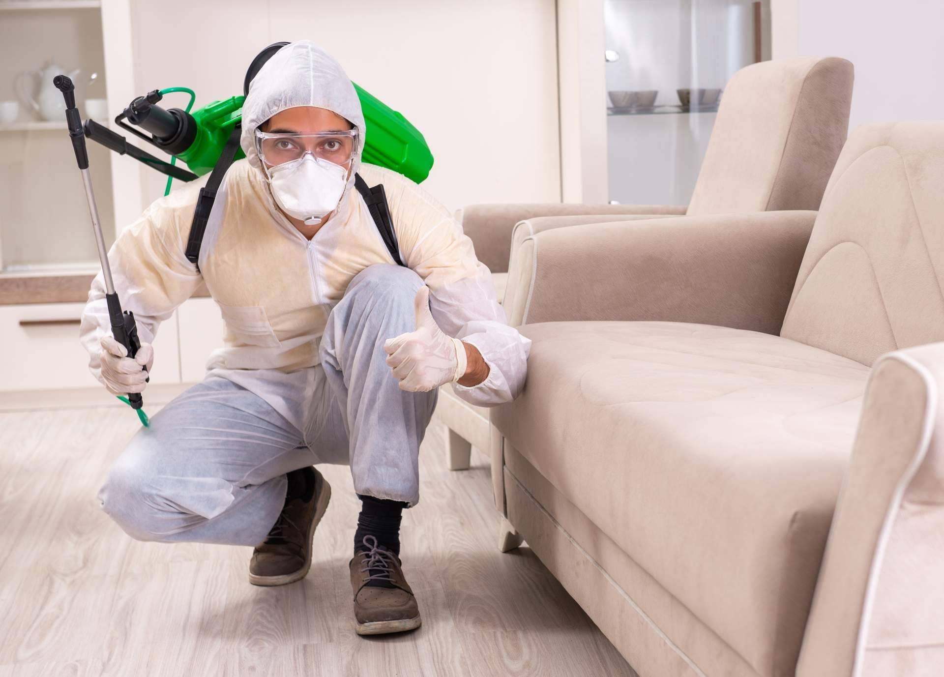 Control de plagas con los servicios ofrecidos por Laboratorios Astursa