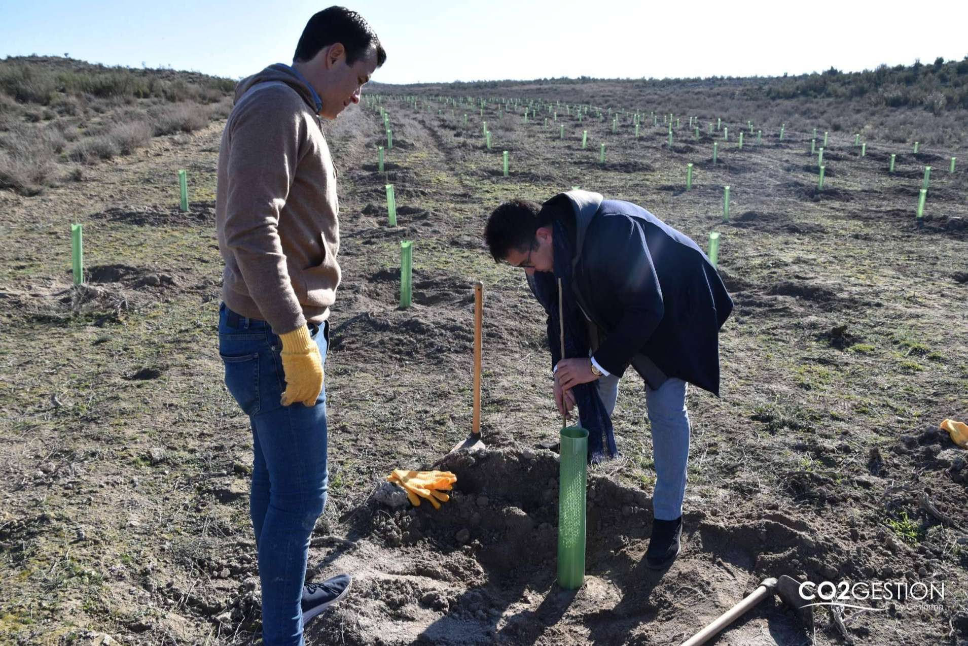ICT Ibérica y Fundación Alcoraz plantan un nuevo bosque en Zaragoza