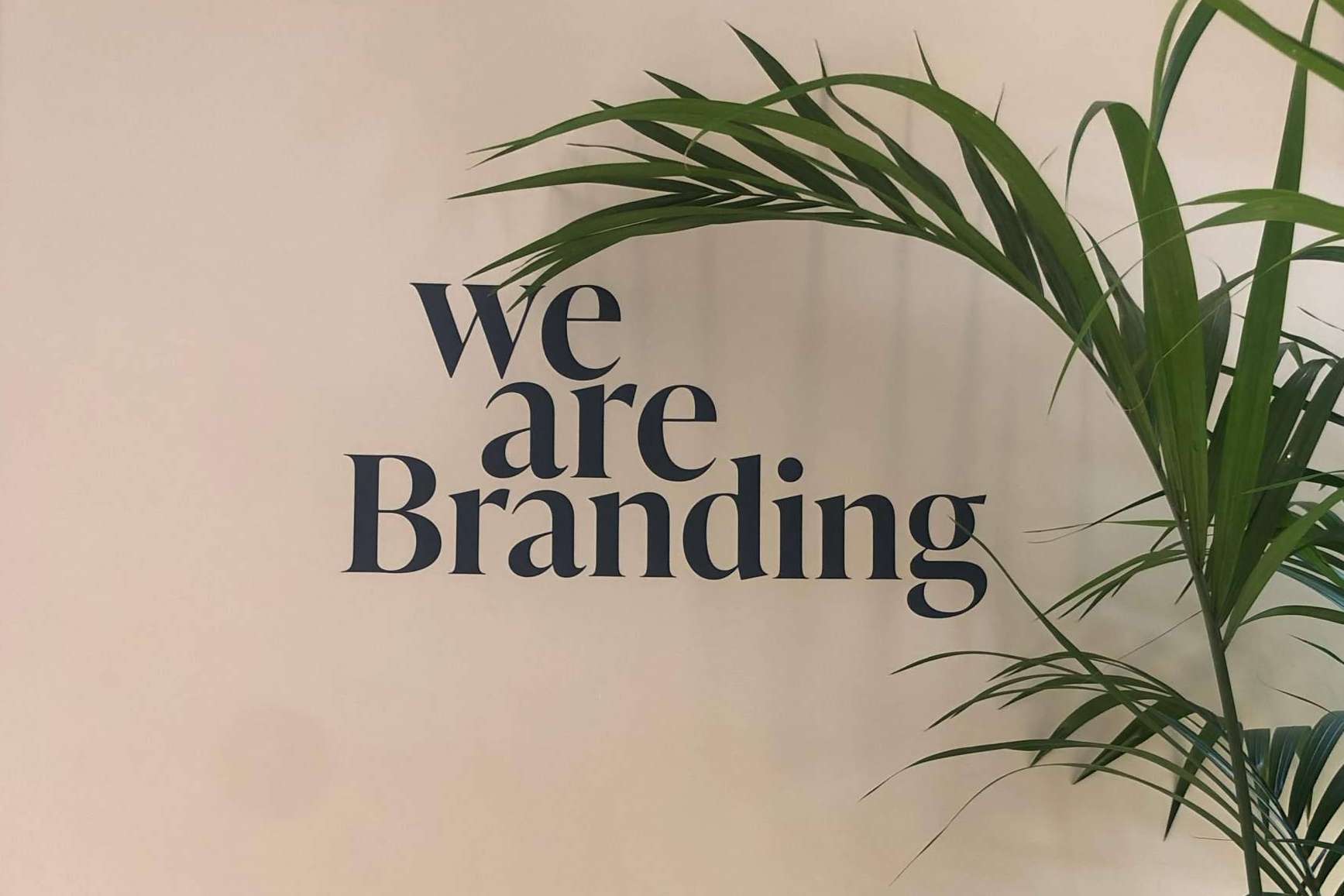 ¿Por qué es necesario el trabajo de una agencia de diseño de packaging para las empresas?