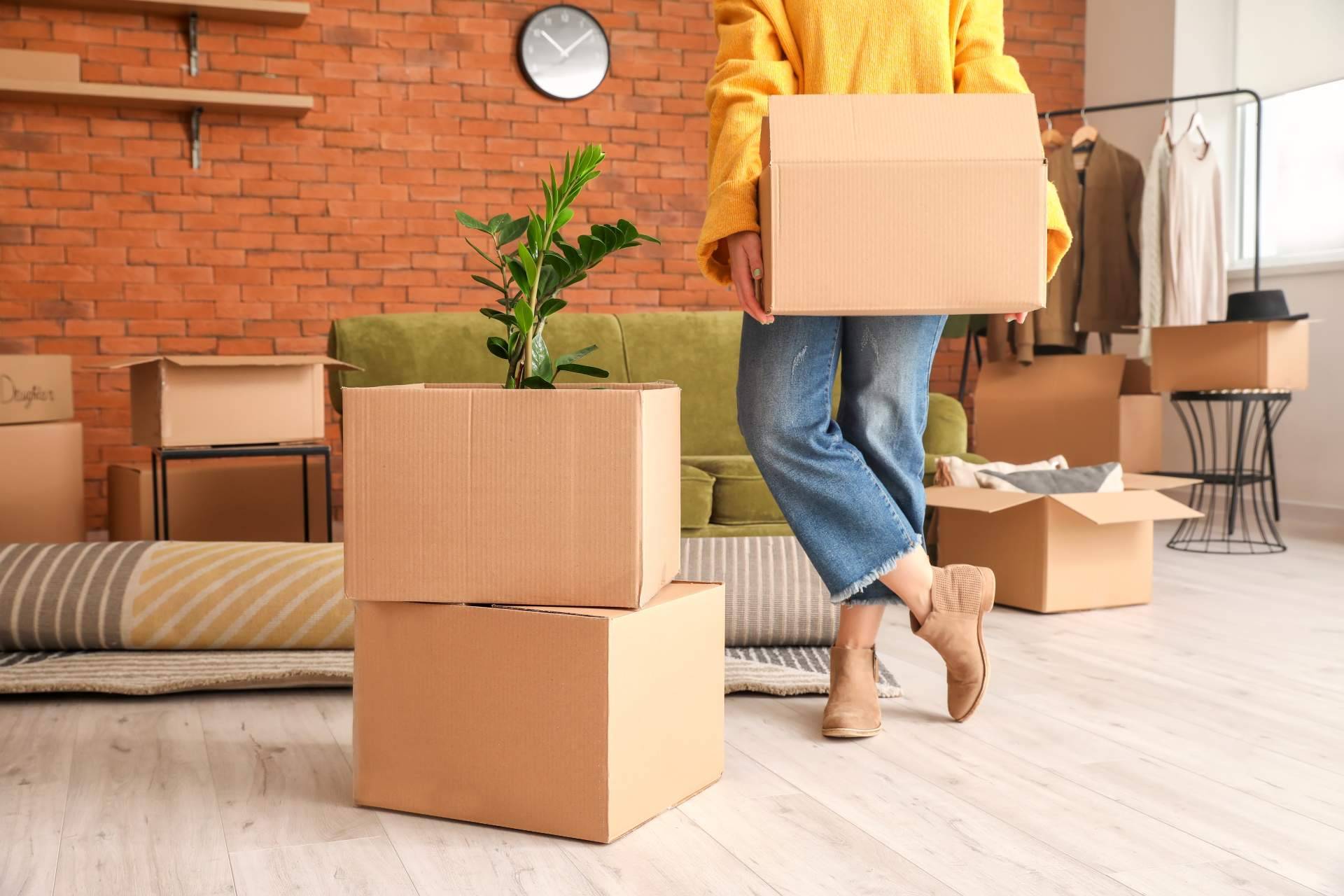 Servicios de mudanzas hasta Orihuela con Mudanzas MBA