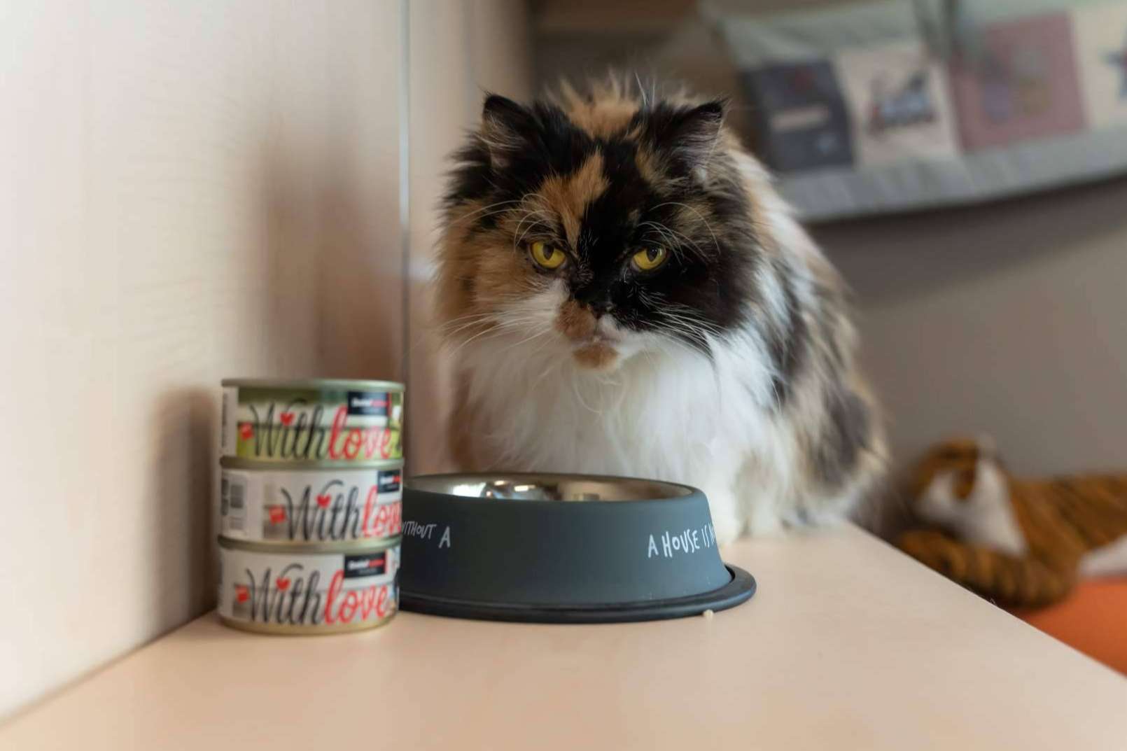 La nueva gama de comida húmeda para perros y gatos de Satisfaction, With Love