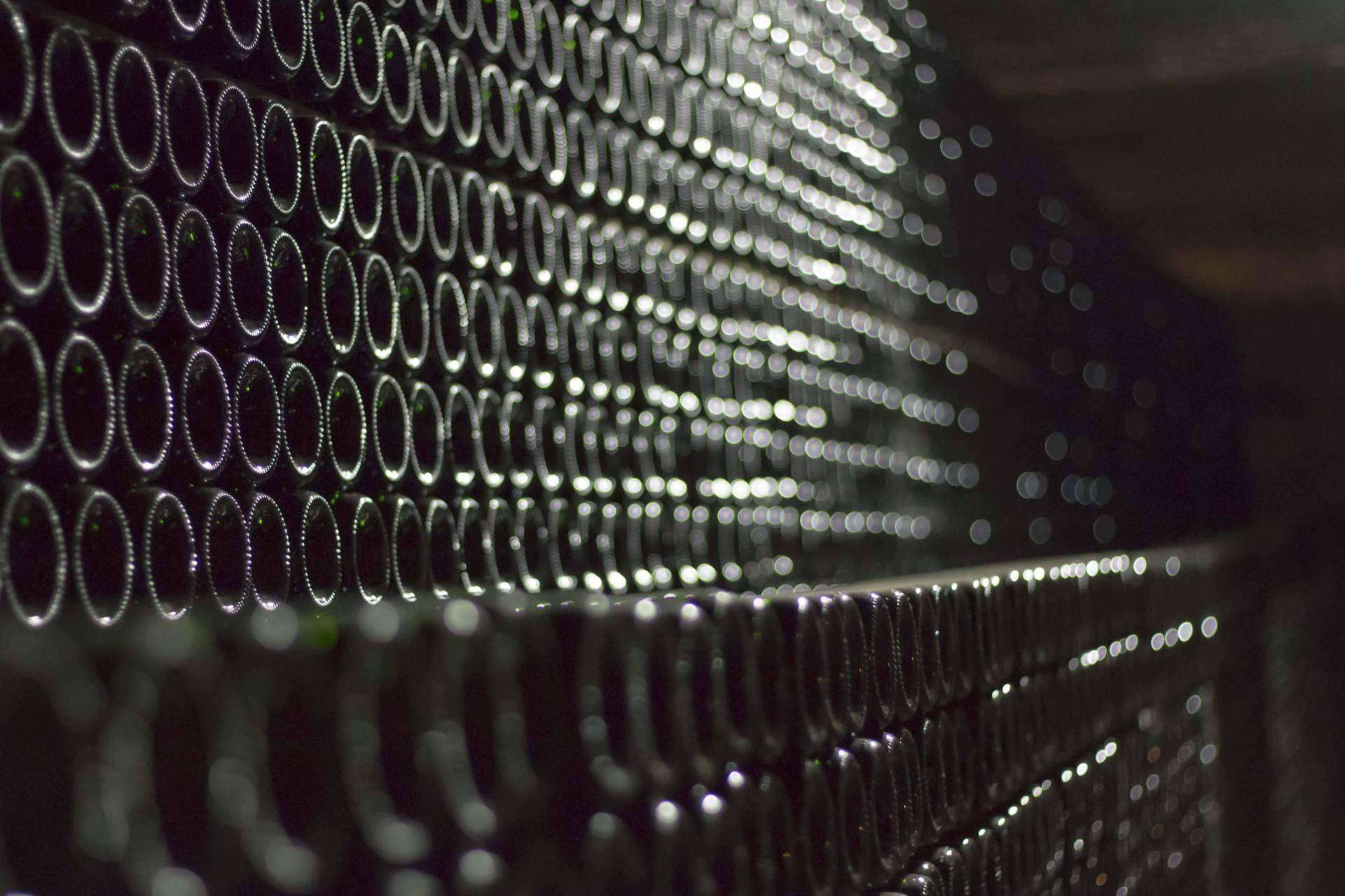 Selección de cava Robert J. Mur en Naturelovers Wines