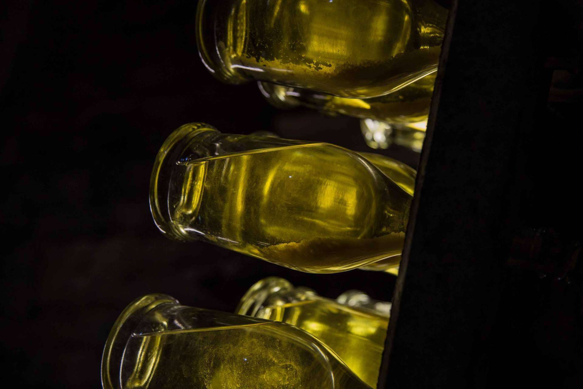 Los vinos ecológicos de Naturalovers Wine; una experiencia auténtica y libre de químicos