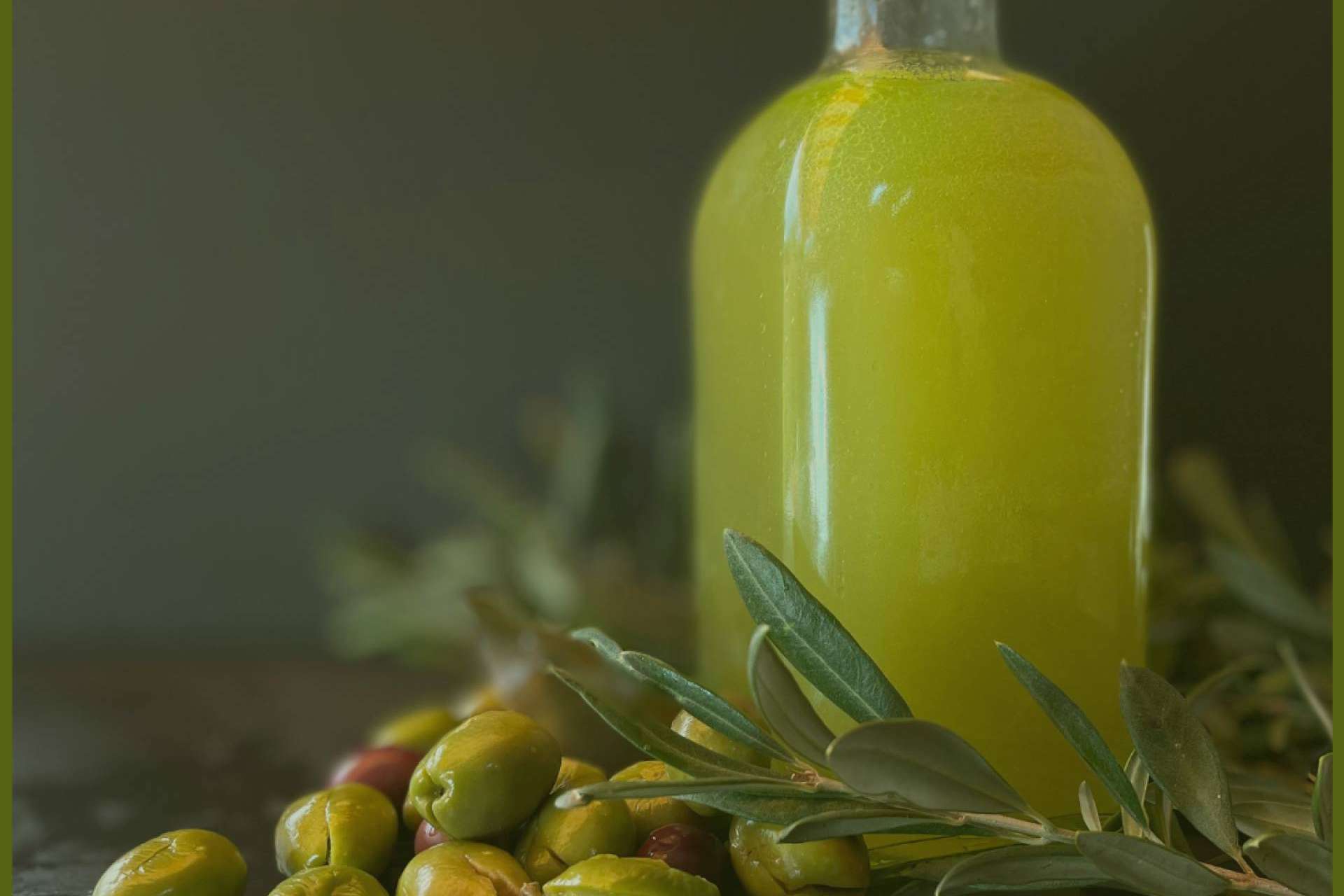 Olipaterna, la tienda online de aceite de oliva extra virgen