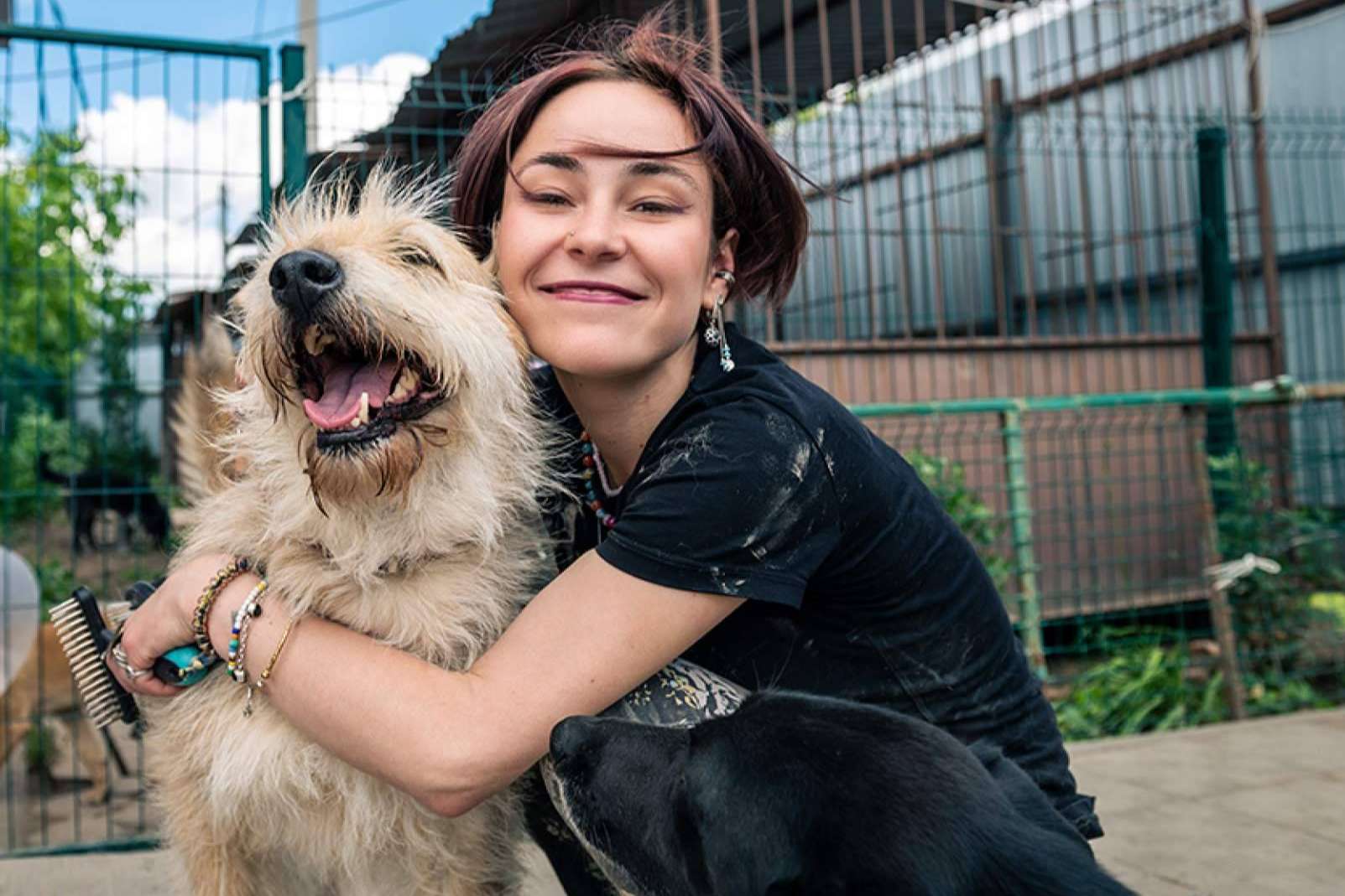 La Ley de Bienestar Animal impulsa la contratación de seguros para perros