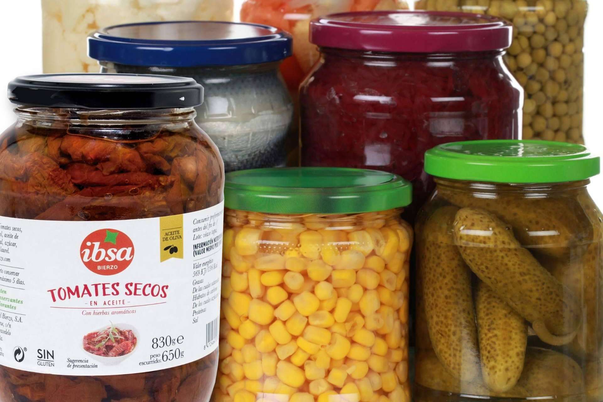 Conservar los vegetales este otoño con IBSA, una de las mejores opciones