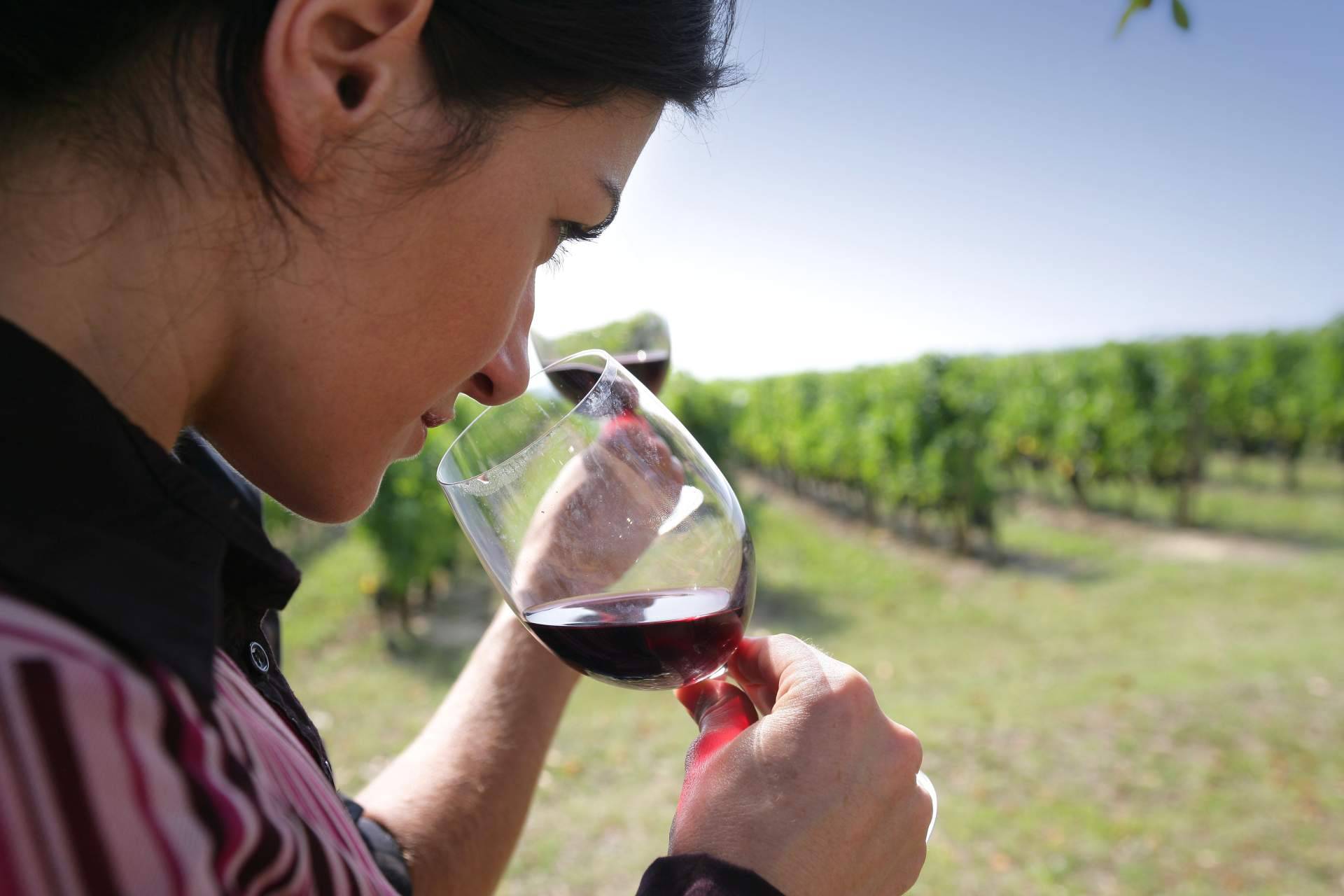 Naturelovers Wines y sus cavas y vinos ecológicos
