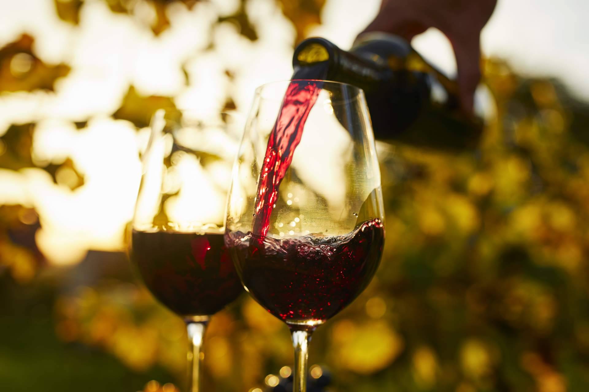 El hotel Terra Dominicata se diferencia por su propuesta de cata de vino