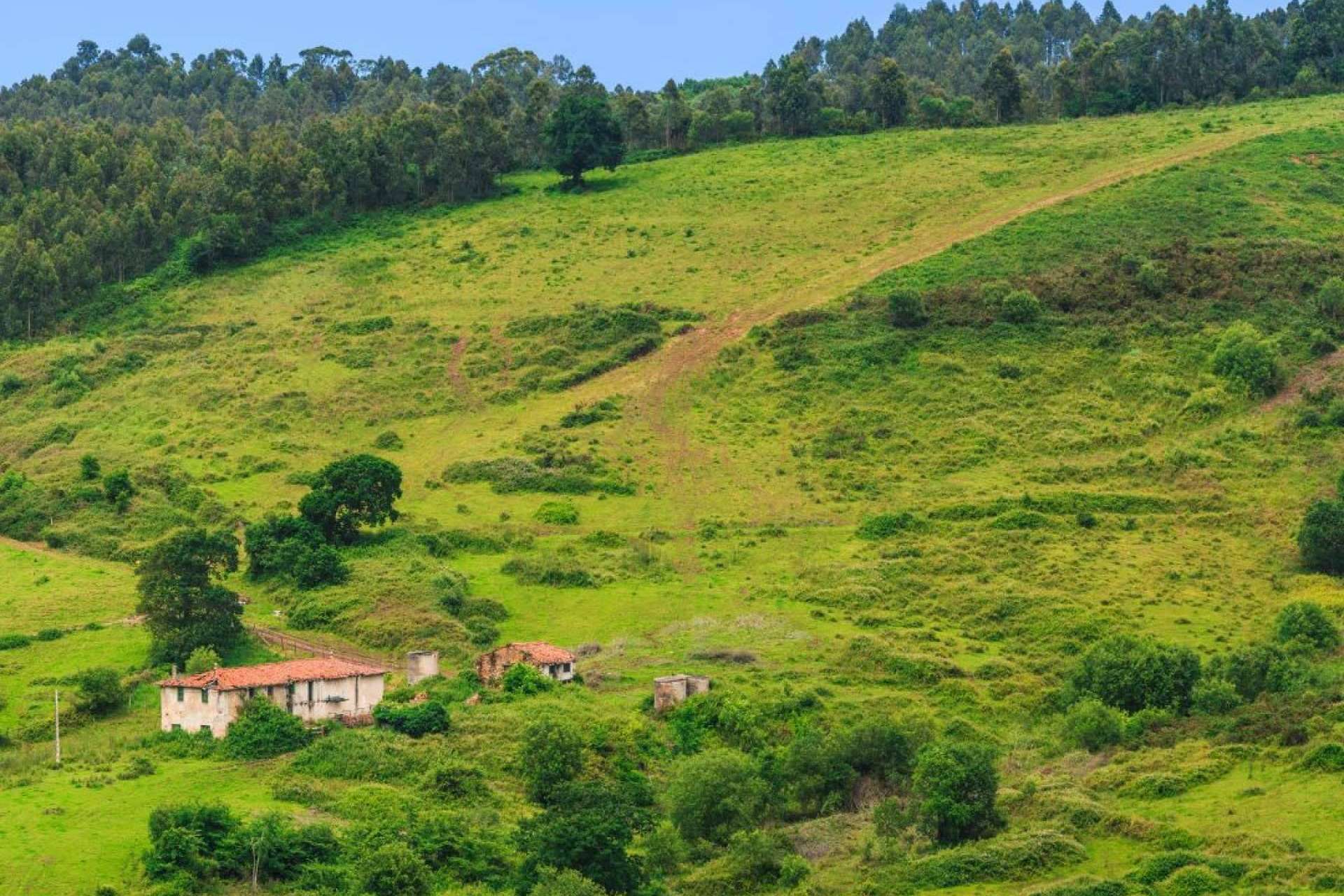 Pisos en Cantabria, de la mano de PisosenCantabria.es