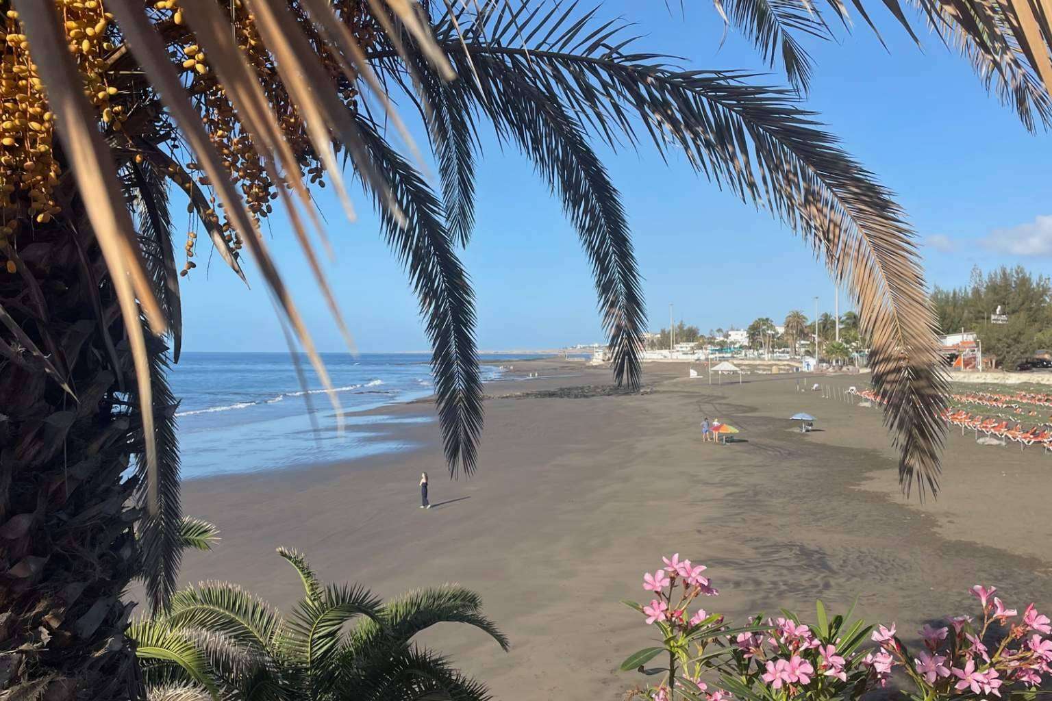 Inmoplanet Canarias se encarga del alquiler de propiedades en San Bartolomé de Tirajana