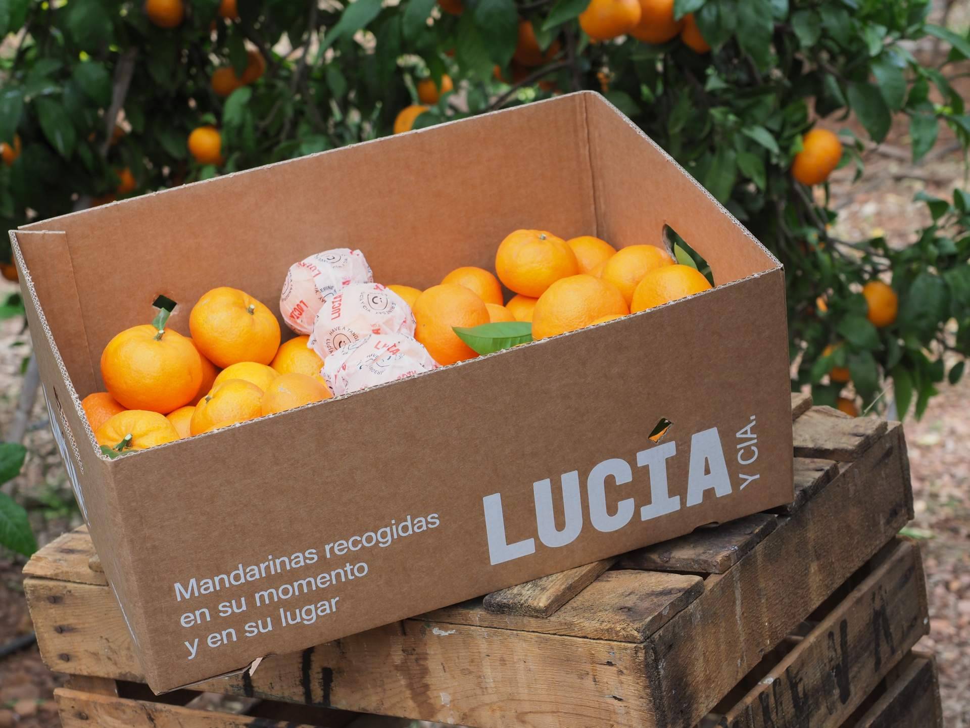 Lucía y Cía., un proyecto que redefine la forma de experimentar las mandarinas