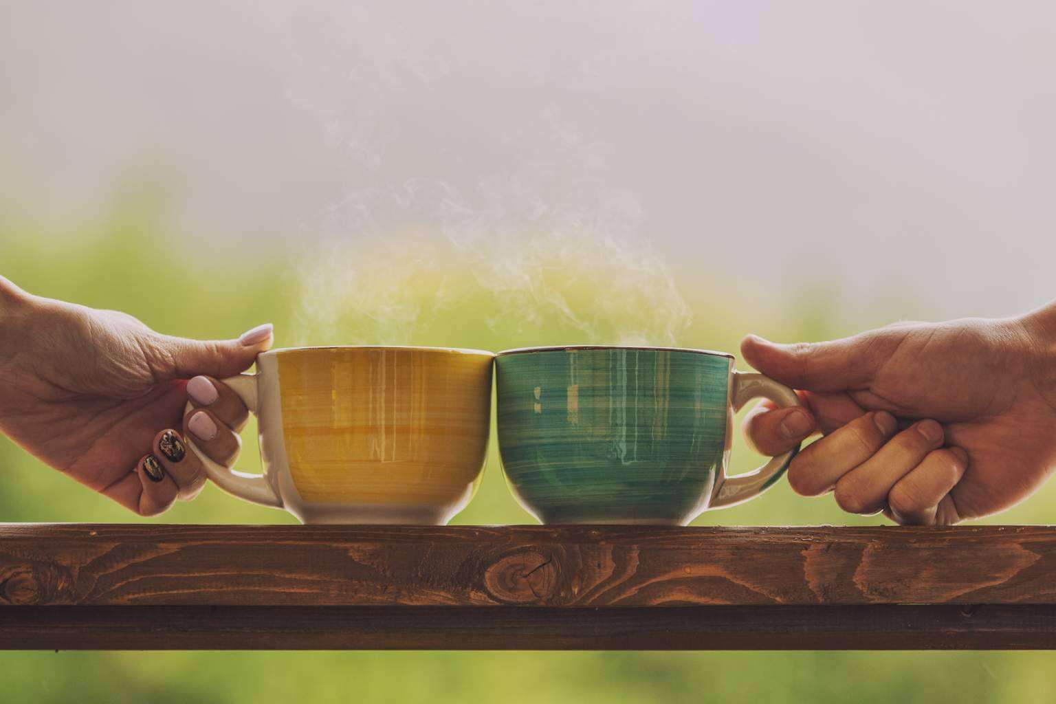 Gran variedad de infusiones ecológicas en el catálogo online de Sientea