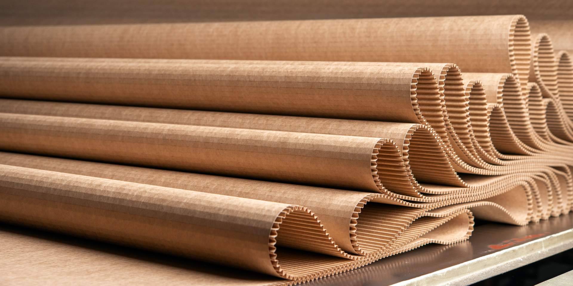 Apostar por la sostenibilidad, el reciclaje y la biotecnología, así es el proyecto de South Hemp