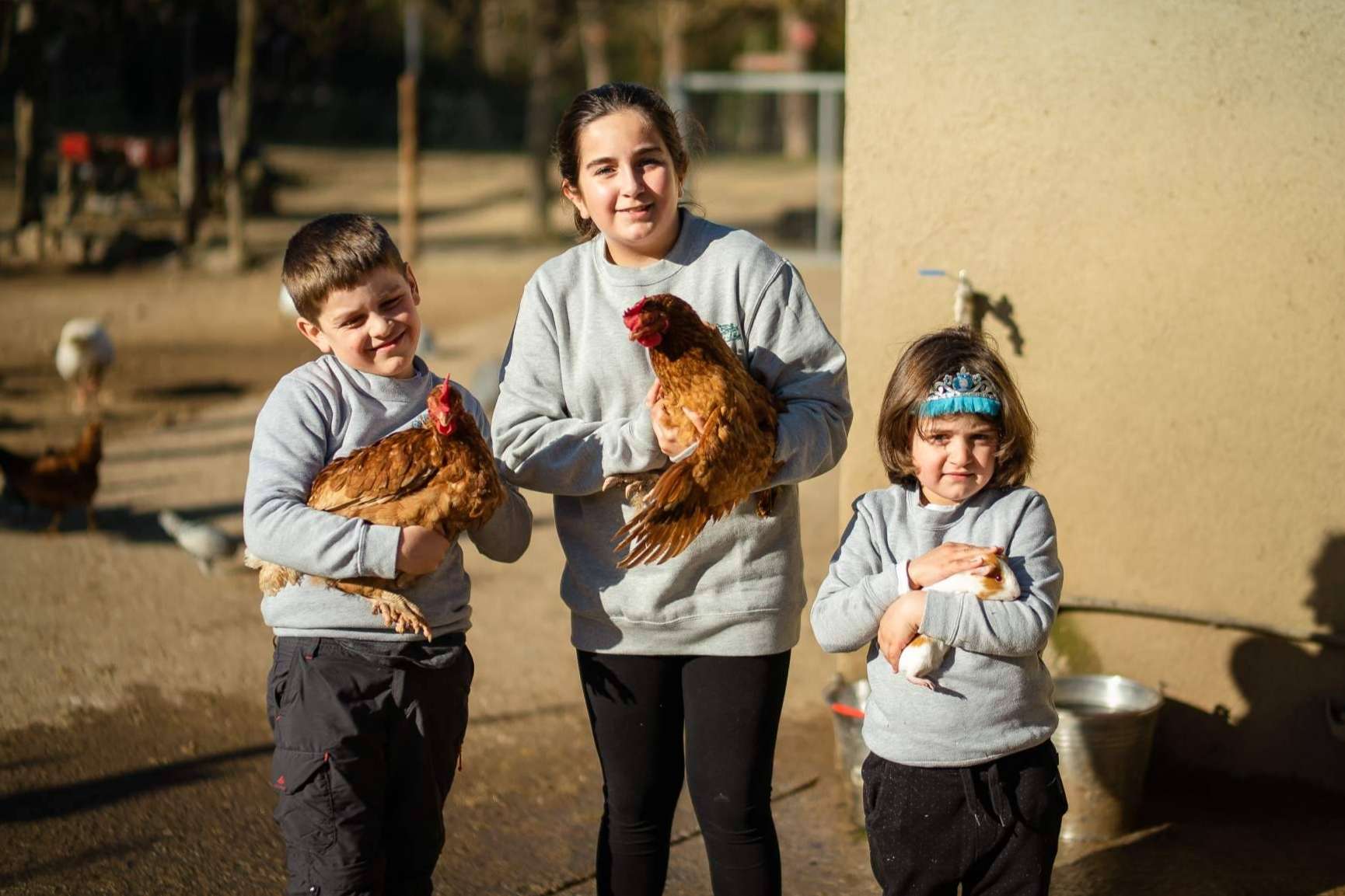 Can Plana es una opción extraordinaria para las familias y escuelas que quieren visitar una granja cerca de Barcelona
