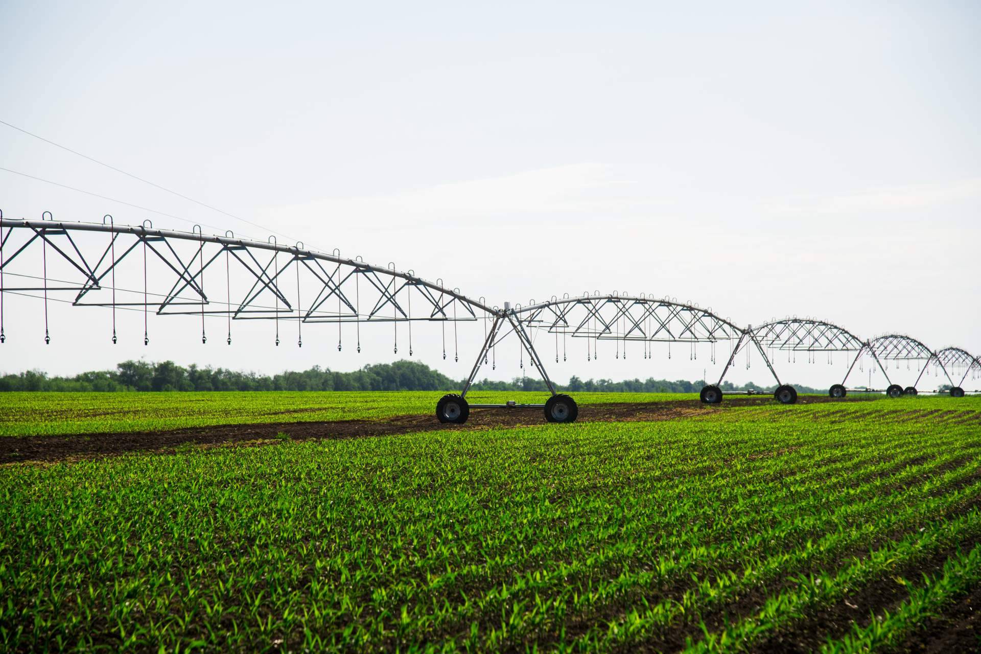 Expertos gestionan la obtención del Certificado GlobalG.A.P. de buenas prácticas agrícolas