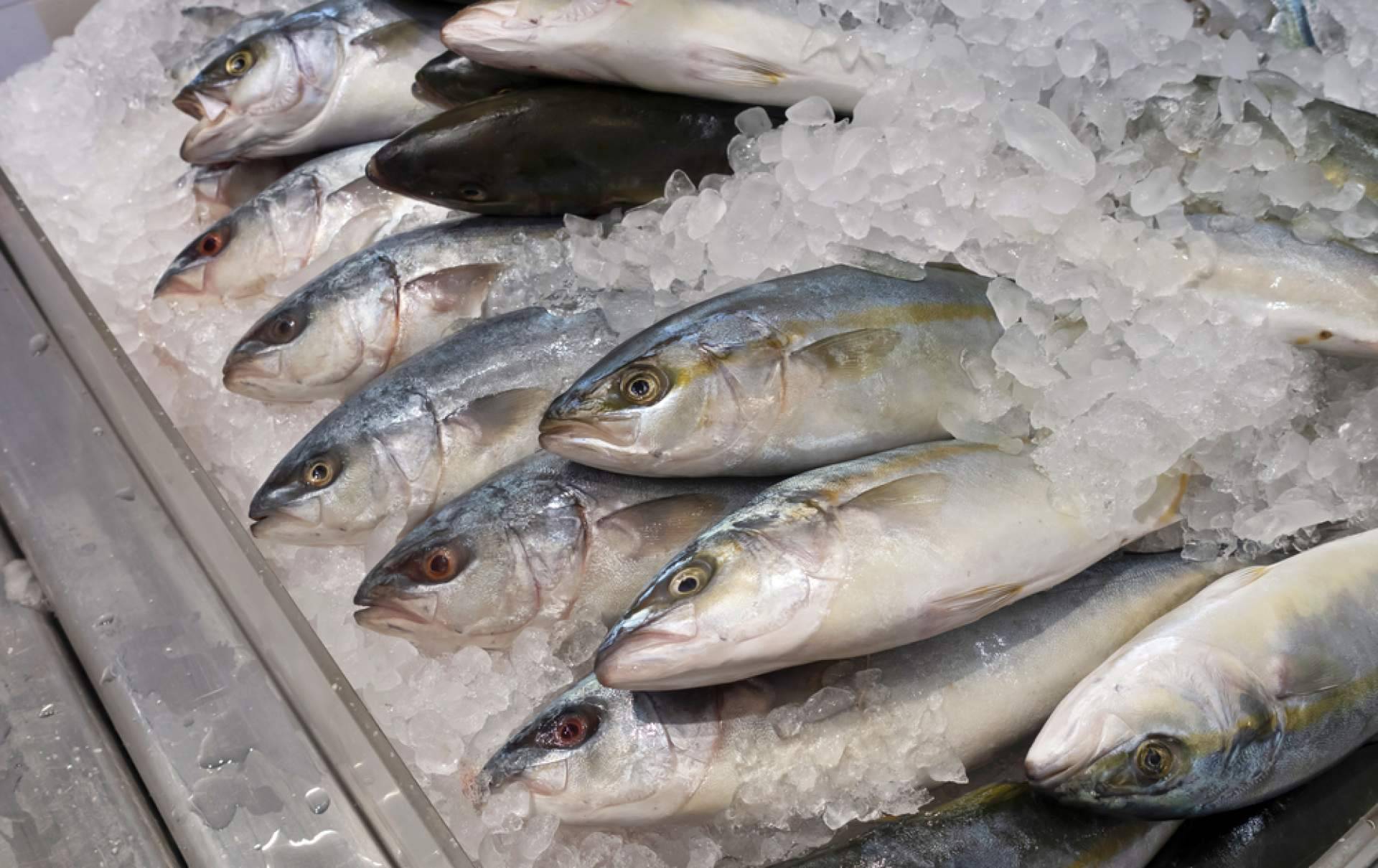 Frescura y calidad en pescados y mariscos, el compromiso de Pescadería Younes Ceuta