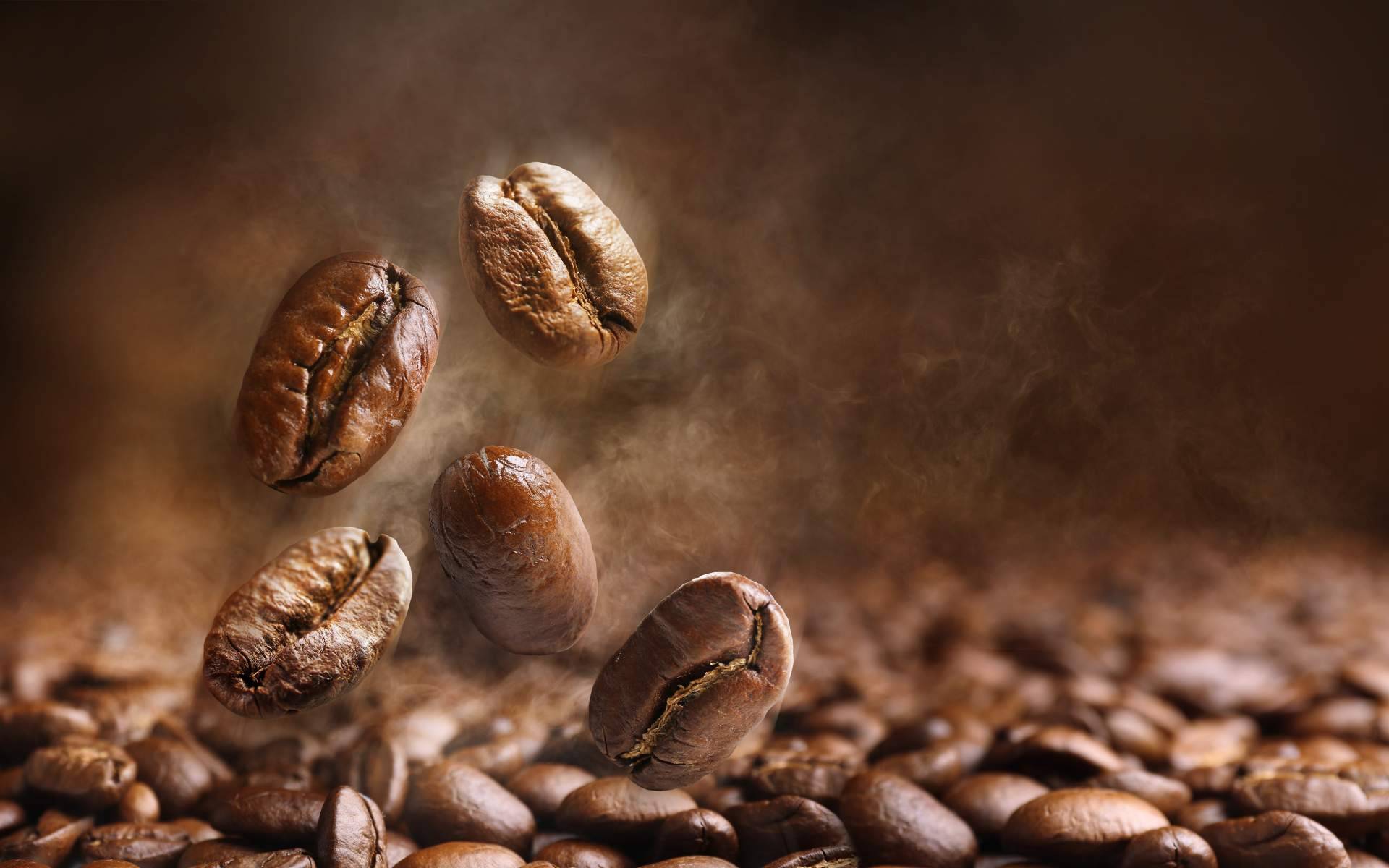 El café de la finca a la taza, CAFEPARACASA transforma el café en casa con granos de especialidad