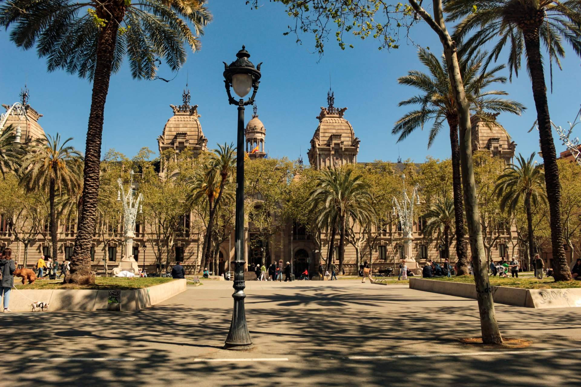 El Tribunal avala la legalidad del modelo de HALLON para gestionar derechos de autor según la LPI
